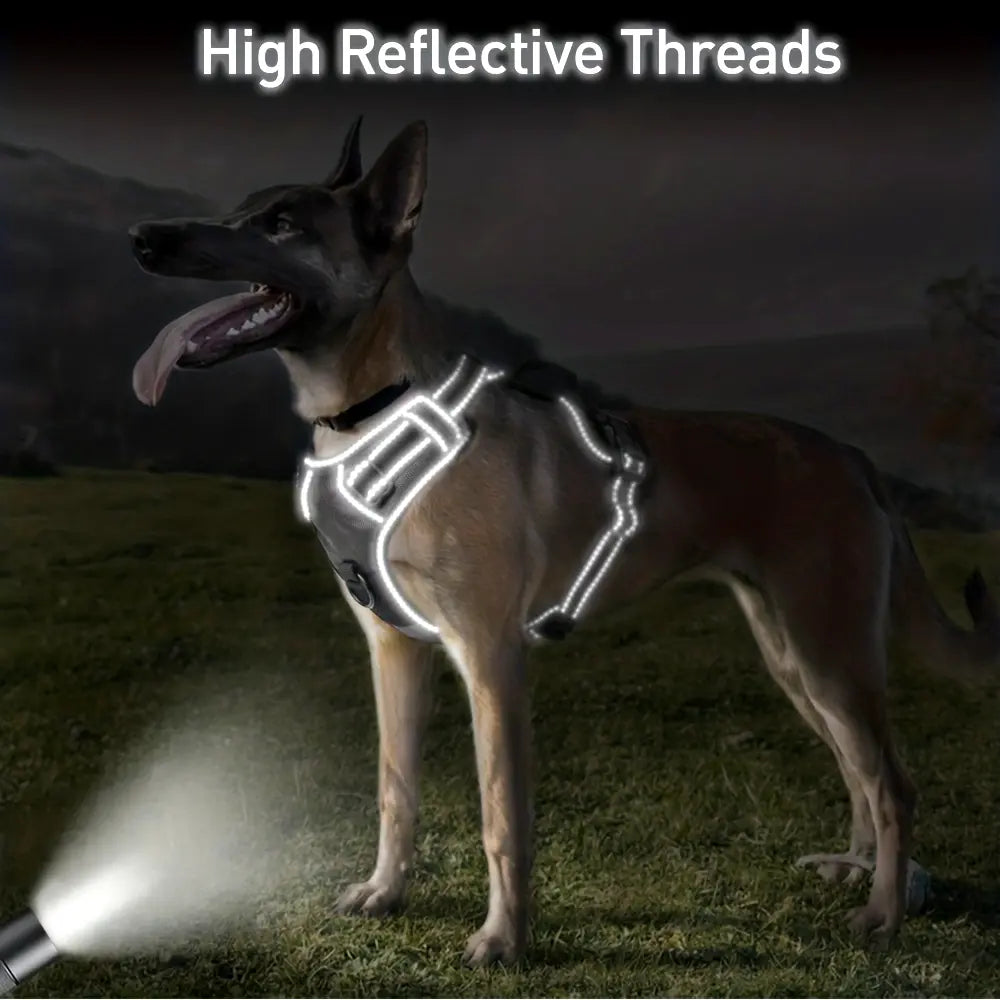 Adjustable for Medium and Large Dogs with Easy Control and Leash