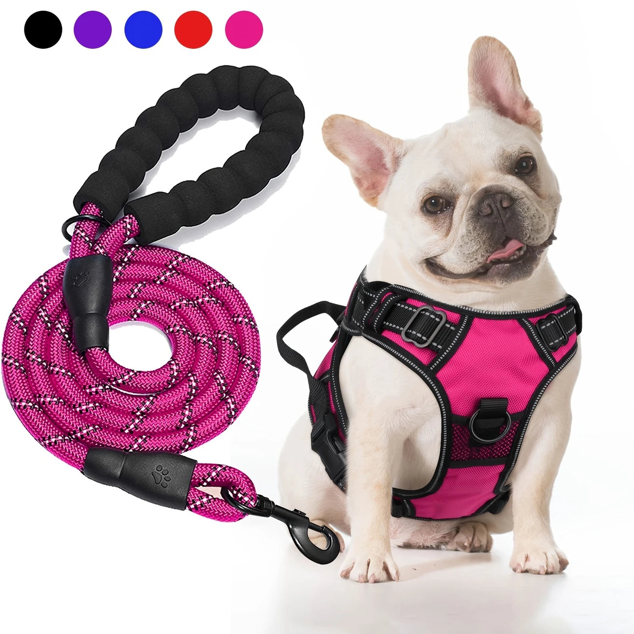 Adjustable for Medium and Large Dogs with Easy Control and Leash